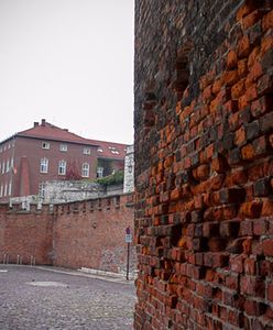 Laborant sekcyjny: wyniki sekcji zwłok zależą od stanu ciała