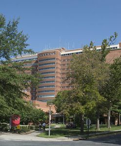 Wielka Brytania: pacjent wyleczony z Eboli