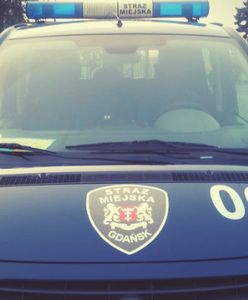 Latem w Pasie Nadmorskim będzie więcej patroli straży miejskiej