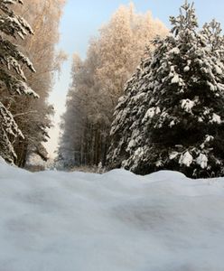 Sypnie śniegiem - prognoza pogody na 5 i 6 grudnia
