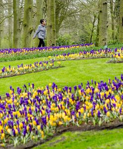 Prognoza pogody na 22 i 23 marca