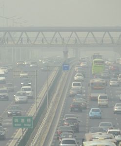 Smog dusi Pekińczyków