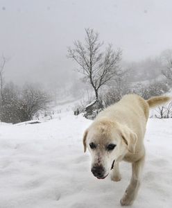 Hiszpania pod śniegiem