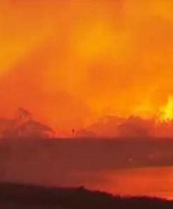 Stan wyjątkowy w australijskiej Nowej Południowej Walii