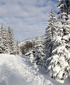 Ledwo przyszła, już odchodzi. To koniec zimy?
