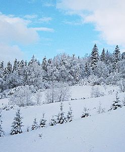 Sylwester w zimowej aurze - sprawdź prognozę