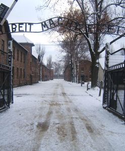 Niemiecka telewizja ZDF musi przeprosić b. więźnia Auschwitz za "polskie obozy zagłady Majdanek i Auschwitz"
