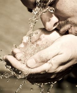 Piotr Czerwiński: Irlandię suszy!