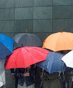 Zima w odwrocie. Czy powróci na Nowy Rok?