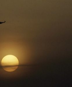 Nad Kenią zaginęły ugandyjskie śmigłowce wojskowe