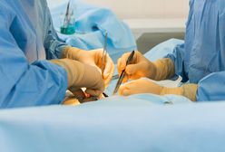 Lekarz, który usunął niewłaściwą nerkę, stracił pracę we wrocławskim szpitalu