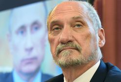 Macierewicz: brzoza nie miała nic wspólnego z tą tragedią