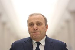 Schetyna: jesteśmy przygotowani na przyspieszone wybory parlamentarne i samorządowe