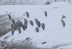 Prognoza pogody na 28 lutego i 1 marca