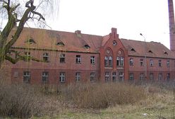 Nowi świadkowie ws. mordowania pacjentów szpitala w Owińskach w 1939 roku