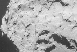 Misja kosmiczna Rosetta: lądowanie na komecie nastąpi 12 listopada
