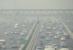 Smog dusi Pekińczyków