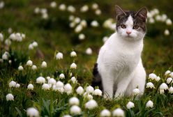 Prognoza pogody na 6 i 7 marca