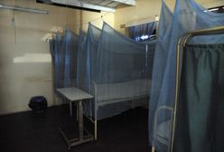 Nigeria: uwolniono 16 ciężarnych nastolatek z "fabryki dzieci"