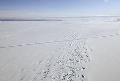 Złe prognozy dla lodu morskiego