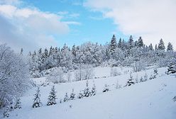 Sylwester w zimowej aurze - sprawdź prognozę