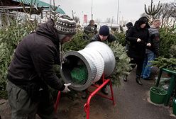 Bez niej nie wyobrażamy sobie świąt - jak długo wytrzyma?