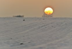 Będzie cieplej, ale nadal na minusie - zobacz prognozę