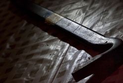 Grupa włamywaczy w rękach policji. Okradali domy jednorodzinne i garaże