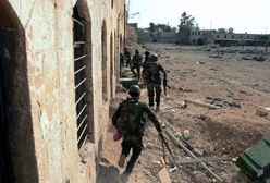 Kraje arabskie ograniczają pomoc dla powstańców w Syrii