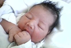 Zastanawiająca teoria dotycząca porwania Michaly Janovej