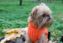 Chłodno, chłodniej, coraz chłodniej - prognoza pogody na 28 i 29 sierpnia