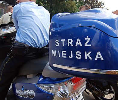 Kolejne pomorskie miasto rozważa rozwiązanie straży miejskiej