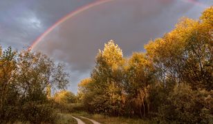 Prognoza pogody na 15 i 16 listopada