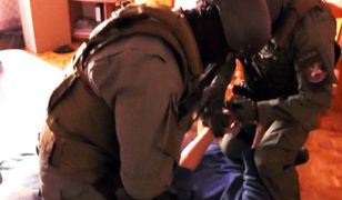 Akcja policji z Polski i Norwegii. Uderzenie w narkobiznes