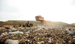 Smród i brud w Siemianowicach Śląskich, a urzędnicy rozkładają ręce