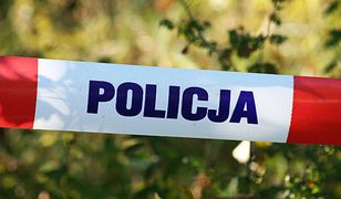 Gostyń: W samochodzie stojącym w lesie znaleziono zwłoki