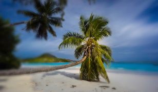 Polska śródziemnomorskim rajem klimatycznym?