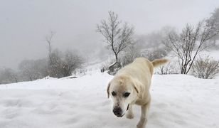 Hiszpania pod śniegiem