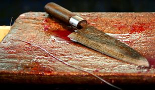 Waldemar Kuczyński: między plażą, krową na karuzeli i armią!