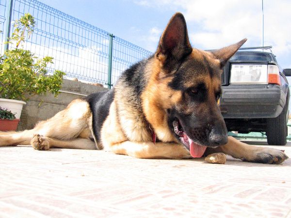 Obraz