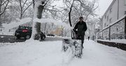 Po opadach śniegu na Mazowszu ponad 10 tys. odbiorców bez prądu