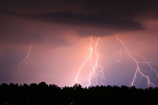 Piorun poraził uczestników pikniku w miejscowości Dabel w Niemczech