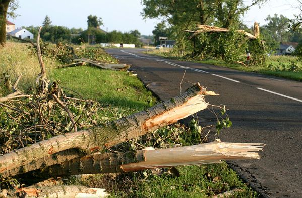 Nawałnice przeszły przez Warmię i Mazury