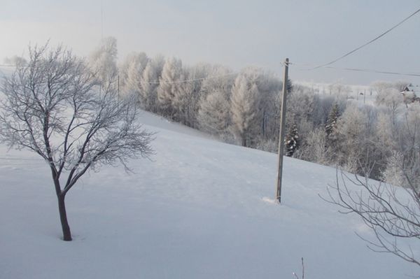 W Bieszczadach mróz i drobne opady śniegu