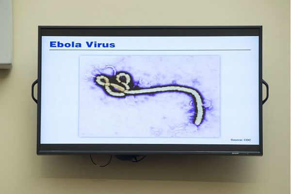 Ryzyko przenoszenia się Eboli drogą kropelkową? Mało prawdopodobne - twierdzi ekspert