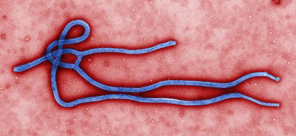 Hiszpański misjonarz zarażony wirusem Ebola