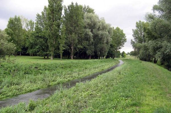 Makabryczne odkrycie w Potoku Służewieckim. Znaleziono ciało kobiety