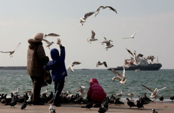 Ukraińskie MSZ: Rosjanie zanieczyszczają wody morskie wokół Krymu