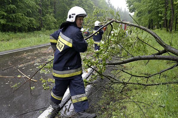 Silny wiatr i awarie linii energetycznych w woj. pomorskim