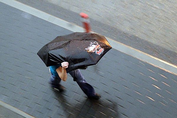 Gwałtowne burze w woj. lubuskim: połamane drzewa, zalane piwnice i pożary